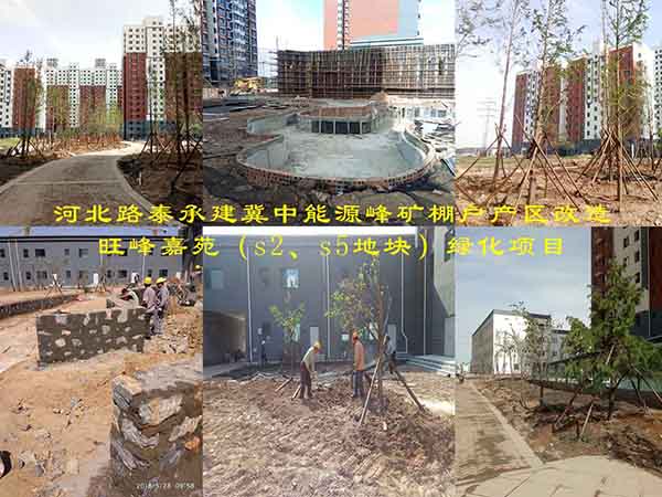 河北路泰承建冀中能源峰礦棚戶產(chǎn)區(qū)改造旺峰嘉苑（s2、s5地塊）綠化項目有序施工中